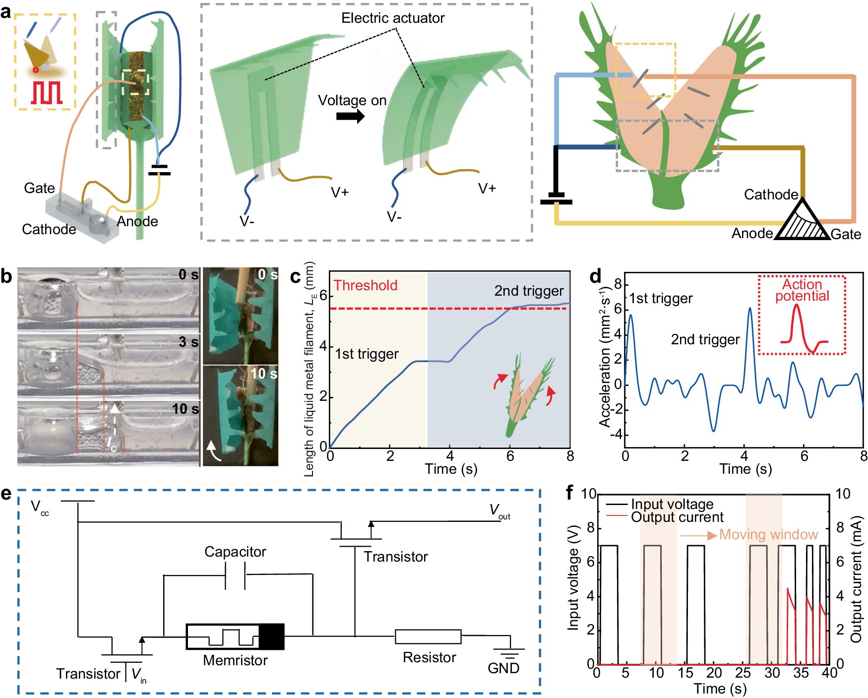 New liquid metal-based electronic logic device mimics prey-capture mechanism of Venus flytrap