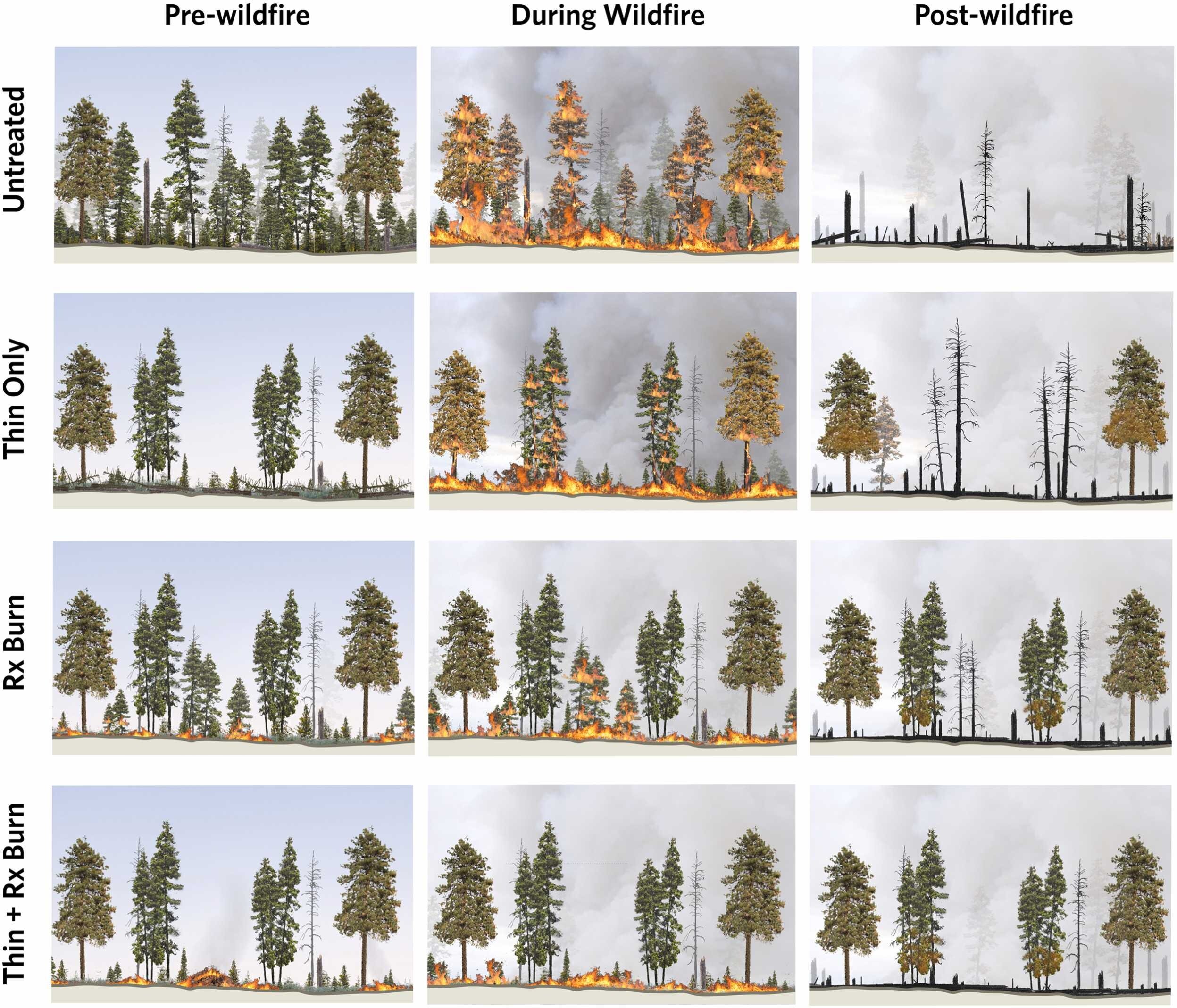 Science review shows fuel treatments reduce future wildfire severity