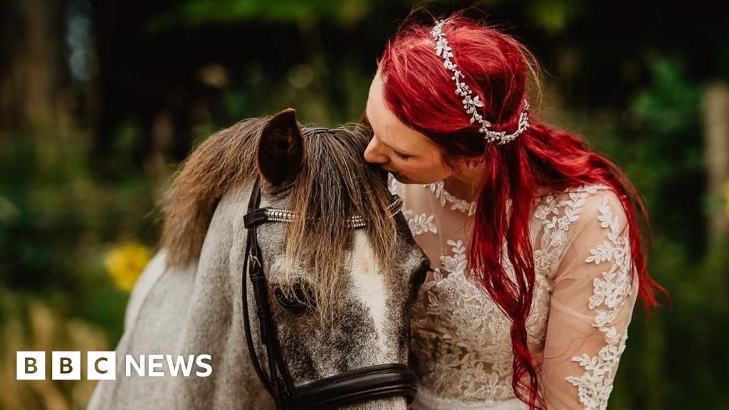 'Oldest horse' thrives on linseed cake and light exercise